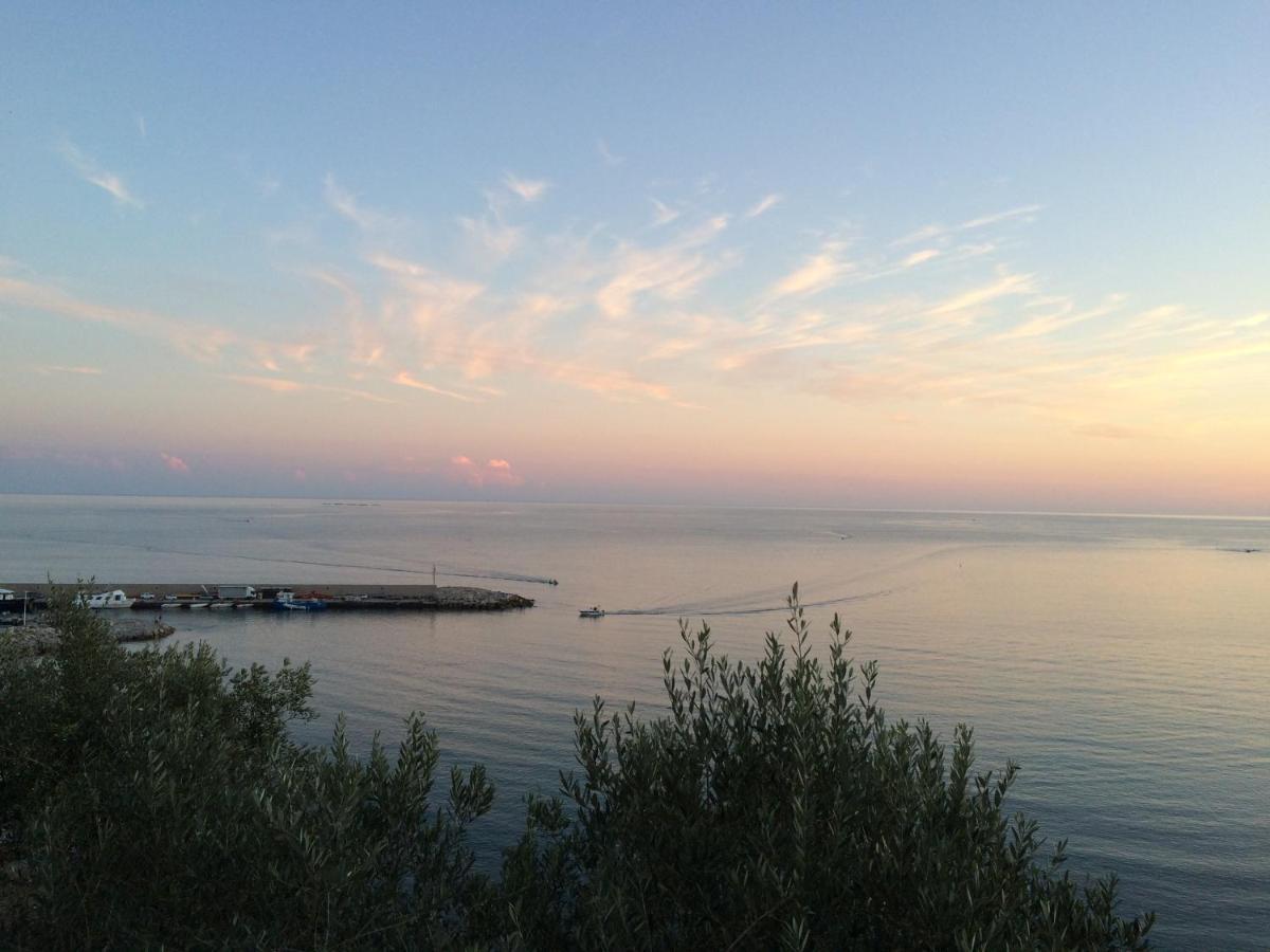Villa Martina Mare Casal Velino Exterior photo