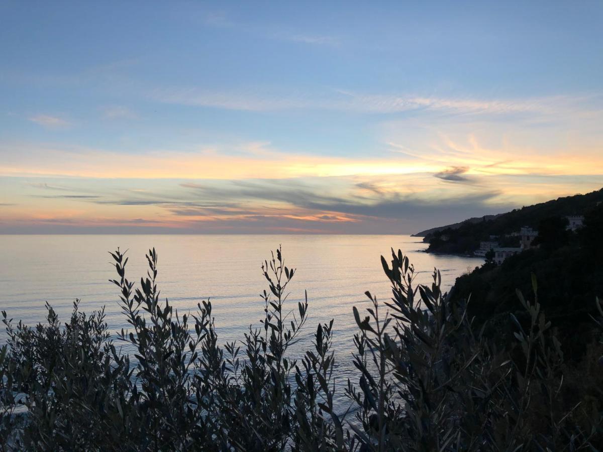 Villa Martina Mare Casal Velino Exterior photo